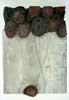 Vergr&ouml;&szlig;ern - Enlarge - Agrandir: Cirrus &copy;