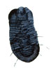 Vergrößern - Enlarge - Agrandir: Isopoda ©