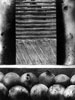 Vergr&ouml;&szlig;ern - Enlarge - Agrandir: Fr&uuml;chtebild &copy;