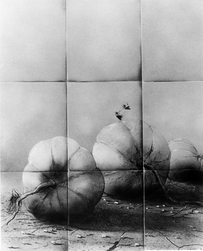 Zur&uuml;ck - Back - En arri&egrave;re: Bilder - Paintings - Peintures