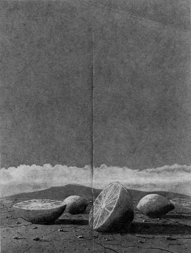 Zur&uuml;ck - Back - En arri&egrave;re: Bilder - Paintings - Peintures