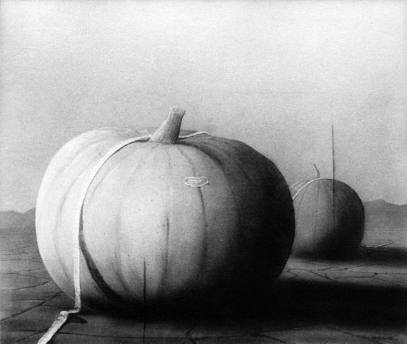 Zur&uuml;ck - Back - En arri&egrave;re: Bilder - Paintings - Peintures