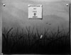 Vergr&ouml;&szlig;ern - Enlarge - Agrandir: Attention au feu &copy;