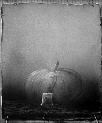 Zur&uuml;ck - Back - En arri&egrave;re: Bilder - Paintings - Peintures