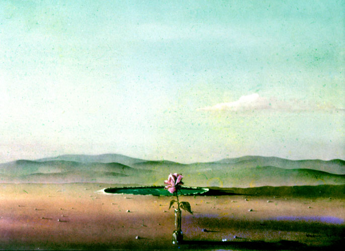 Zur&uuml;ck - Back - En arri&egrave;re: Bilder - Paintings - Peintures