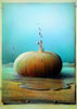 Vergr&ouml;&szlig;ern - Enlarge - Agrandir: Big Pumkin &copy;