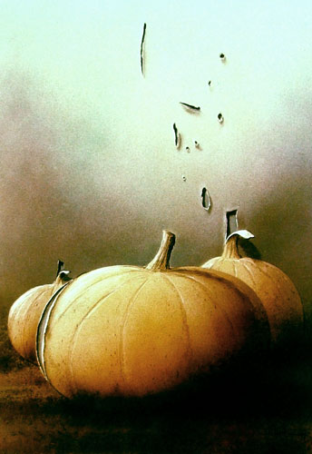 Zur&uuml;ck - Back - En arri&egrave;re: Bilder - Paintings - Peintures