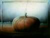 Vergr&ouml;&szlig;ern - Enlarge - Agrandir: Pumkin &copy;