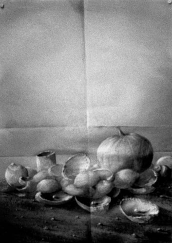 Zur&uuml;ck - Back - En arri&egrave;re: Bilder - Paintings - Peintures