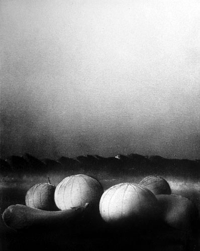 Zur&uuml;ck - Back - En arri&egrave;re: Bilder - Paintings - Peintures