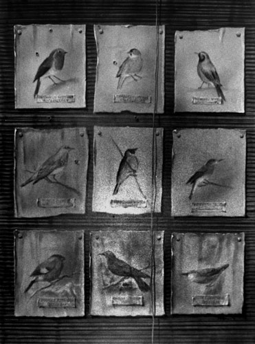 Zur&uuml;ck - Back - En arri&egrave;re: Bilder - Paintings - Peintures