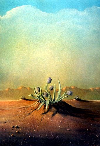Zur&uuml;ck - Back - En arri&egrave;re: Bilder - Paintings - Peintures