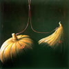 Vergr&ouml;&szlig;ern - Enlarge - Agrandir: Citrouilles enchen&eacute; &copy;