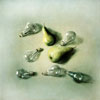 Vergrößern - Enlarge - Agrandir: Birnenstudie - Pear study - Étude des poires ©