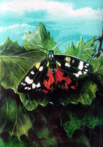 Zur&uuml;ck - Back - En arri&egrave;re: Bilder - Paintings - Peintures