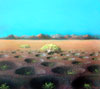 Vergr&ouml;&szlig;ern - Enlarge - Agrandir: Lanzarote Studie &copy;