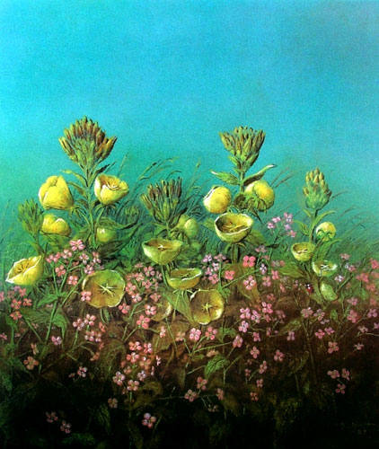 Zur&uuml;ck - Back - En arri&egrave;re: Bilder - Paintings - Peintures