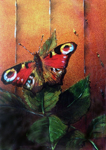 Zur&uuml;ck - Back - En arri&egrave;re: Bilder - Paintings - Peintures