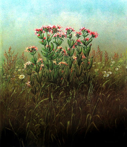 Zur&uuml;ck - Back - En arri&egrave;re: Bilder - Paintings - Peintures