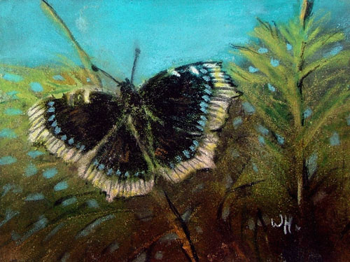Zur&uuml;ck - Back - En arri&egrave;re: Bilder - Paintings - Peintures