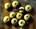 Vergrößern - Enlarge - Agrandir: Äpfel mit Feder ©