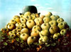 Vergrößern - Enlarge - Agrandir: Äpfel für Magritte - Apples for Magritte - De pommes pour Magritte ©
