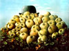 Vergr&ouml;&szlig;ern - Enlarge - Agrandir: &Auml;pfel f&uuml;r Magritte - Apples for Magritte - De pommes pour Magritte &copy;