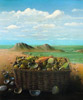 Vergr&ouml;&szlig;ern - Enlarge - Agrandir: Coquillage &copy;