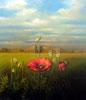 Vergr&ouml;&szlig;ern - Enlarge - Agrandir: Sommermohn &copy;