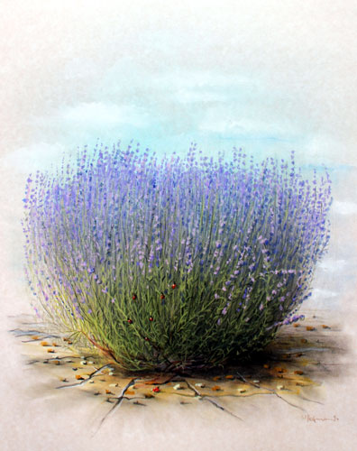Zur&uuml;ck - Back - En arri&egrave;re: Bilder - Paintings - Peintures