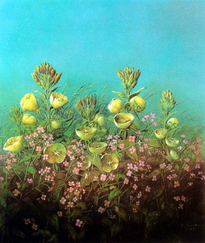 weiter / go on / on continue