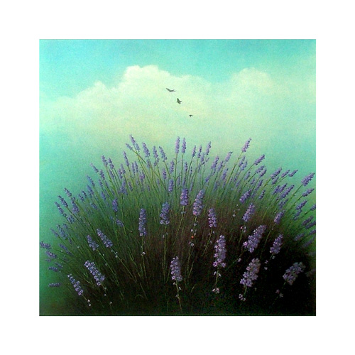 Zurück - Back - En arrière: Grafiken - Graphics - Graphiques ©